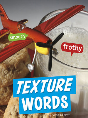 cover image of Texture Words